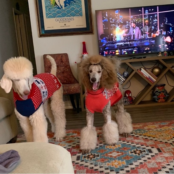 Charm Fair Isle Matching Family Sweater dog sweater - Picture 2 of 11